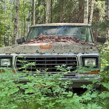1979 Ford Bronco