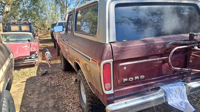 1979 Ford Bronco Sport Utility 2D