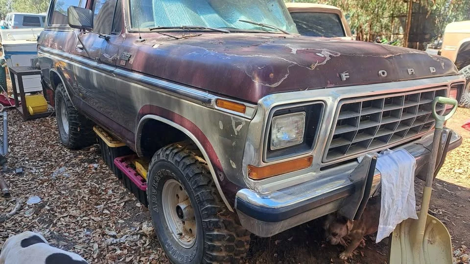 1979 Ford Bronco 2nd Gen - Image 2 of 7