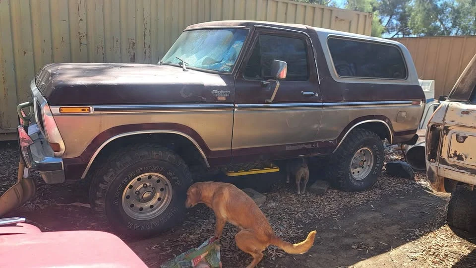 1979 Ford Bronco 2nd Gen - Image 4 of 7