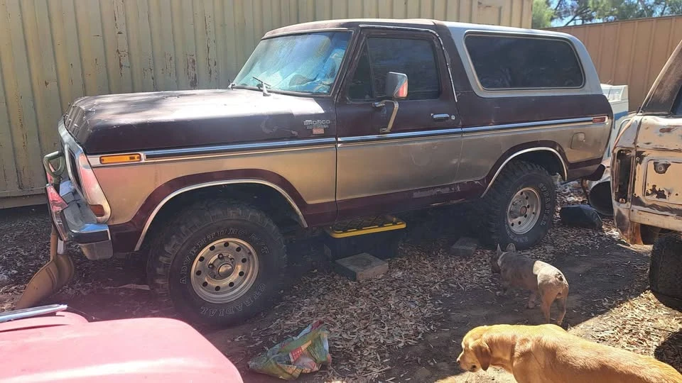 1979 Ford Bronco 2nd Gen - Image 3 of 7