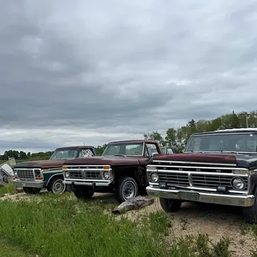 1979 Ford F-150