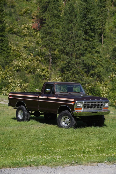 1979 Ford F-Series 6th Gen - Image 8 of 31