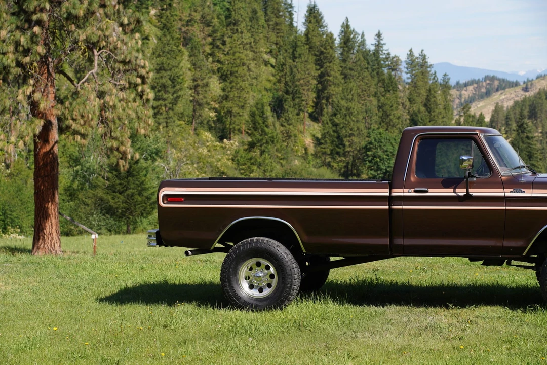 1979 Ford F-Series 6th Gen - Image 21 of 31