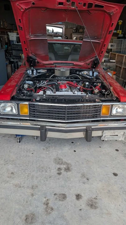 1979 Ford Focus - Image 6 of 11