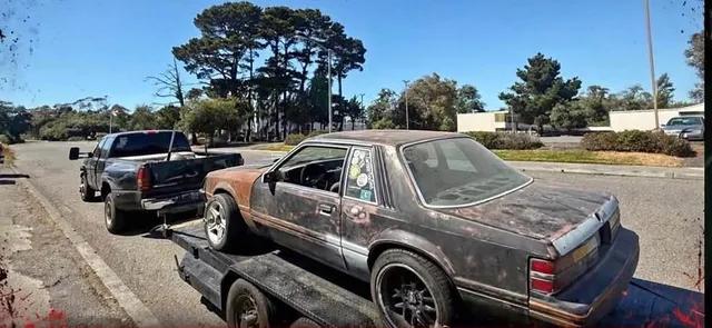 1979 Ford Mustang 5.0 Notback