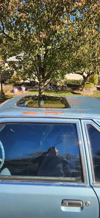1979 Ford Mustang 3rd Gen - Image 12 of 14