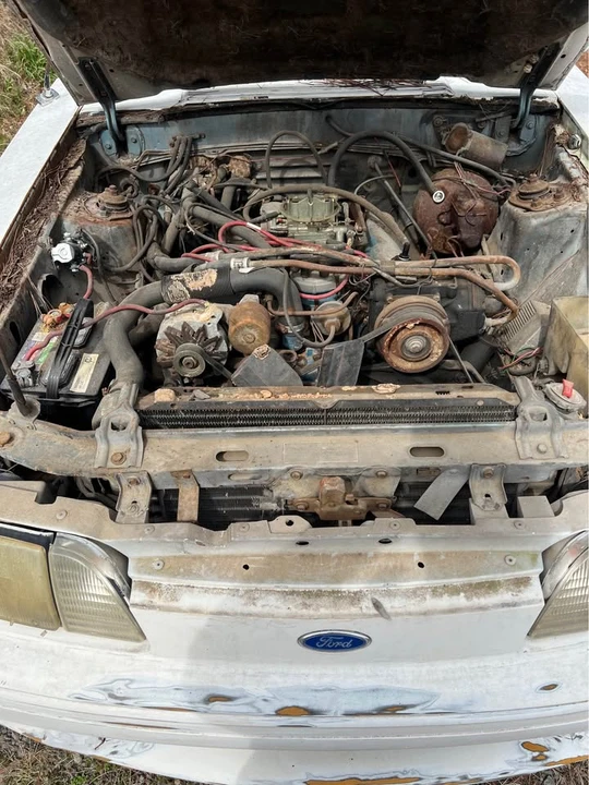 1979 Ford Mustang 3rd Gen - Image 4 of 5