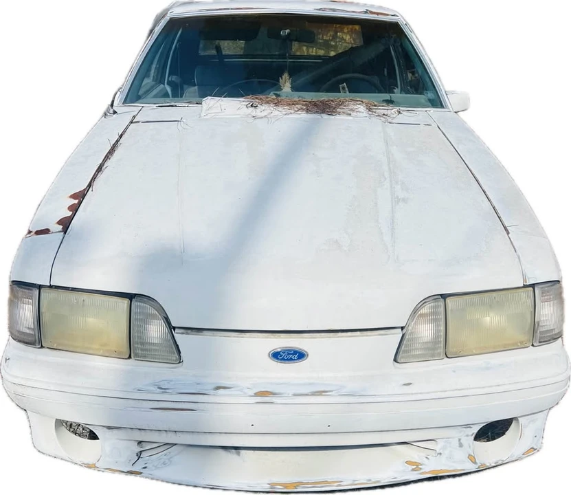 1979 Ford Mustang 3rd Gen - Image 2 of 5