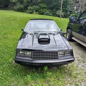 1979 Ford Mustang GT Hatchback 2D