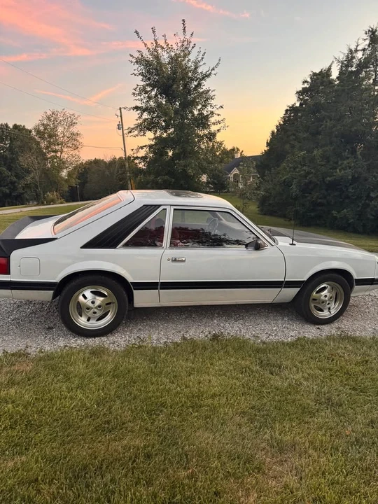 1979 Ford Mustang 3rd Gen - Image 8 of 15