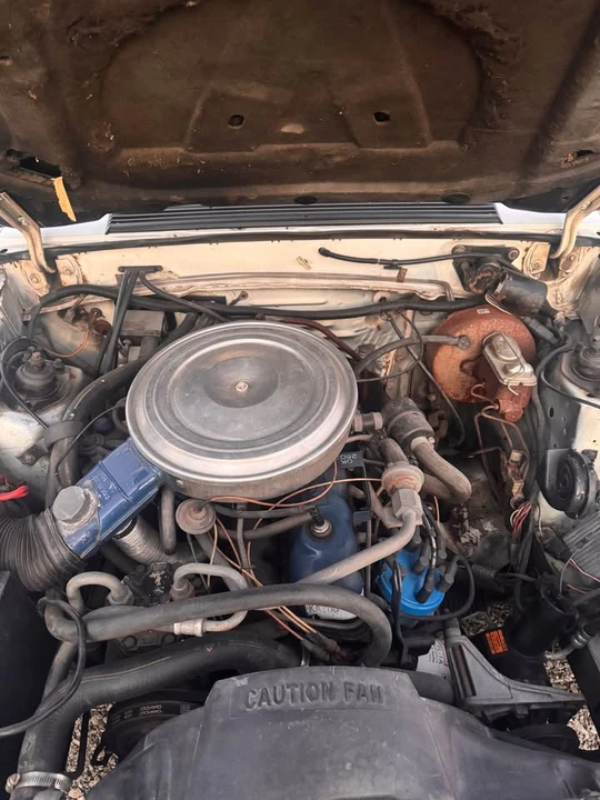 1979 Ford Mustang 3rd Gen - Image 15 of 15