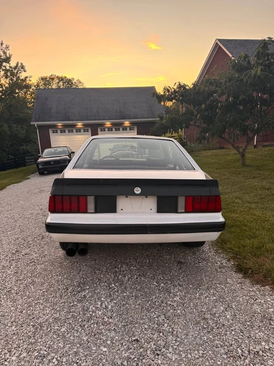 1979 Ford Mustang 3rd Gen - Image 6 of 15