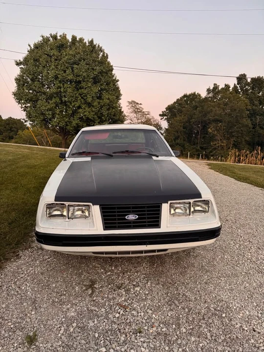 1979 Ford Mustang 3rd Gen - Image 10 of 15