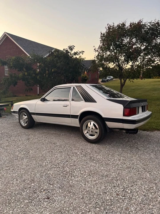 1979 Ford Mustang 3rd Gen - Image 5 of 15