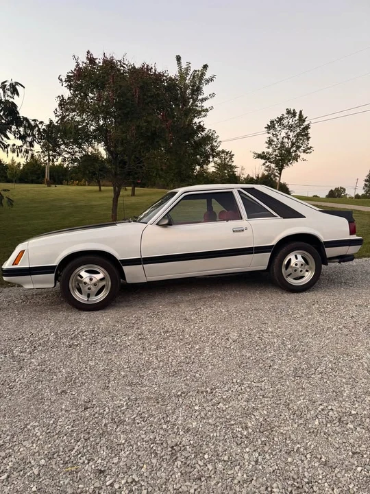 1979 Ford Mustang 3rd Gen - Image 4 of 15