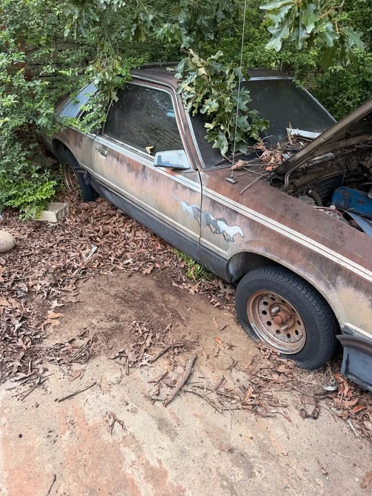1979 Ford Mustang 3rd Gen - Image 8 of 9