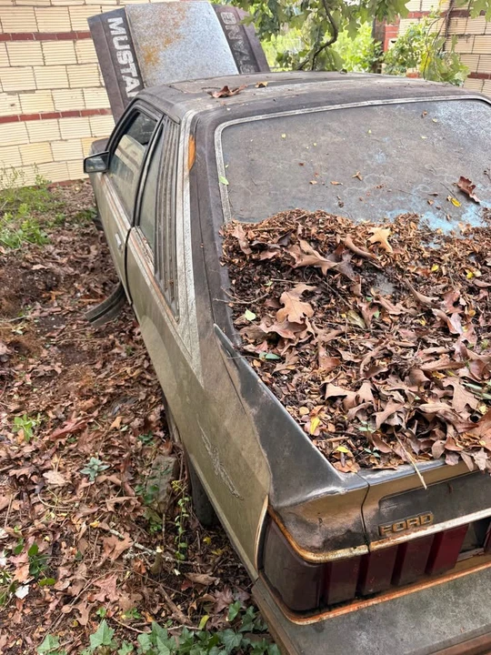 1979 Ford Mustang 3rd Gen - Image 2 of 9