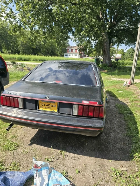 1979 Ford Mustang 3rd Gen - Image 4 of 6