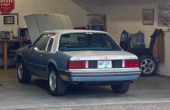 1979 Ford Mustang Notchback