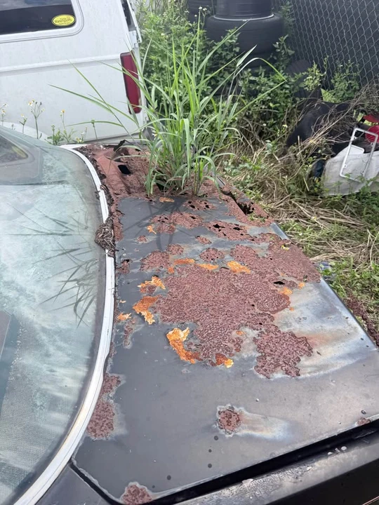 1979 Ford Mustang 3rd Gen - Image 5 of 8