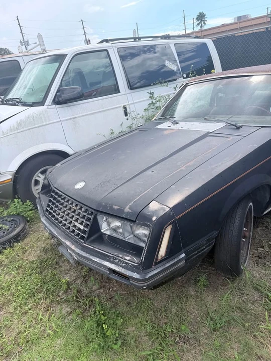 1979 Ford Mustang 3rd Gen - Image 2 of 8