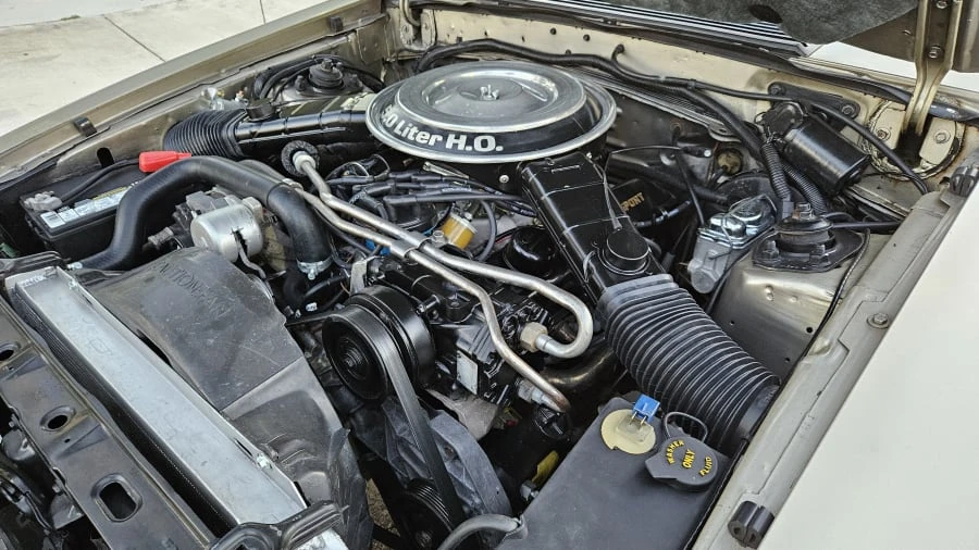 1979 Ford Mustang 3rd Gen - Image 24 of 25