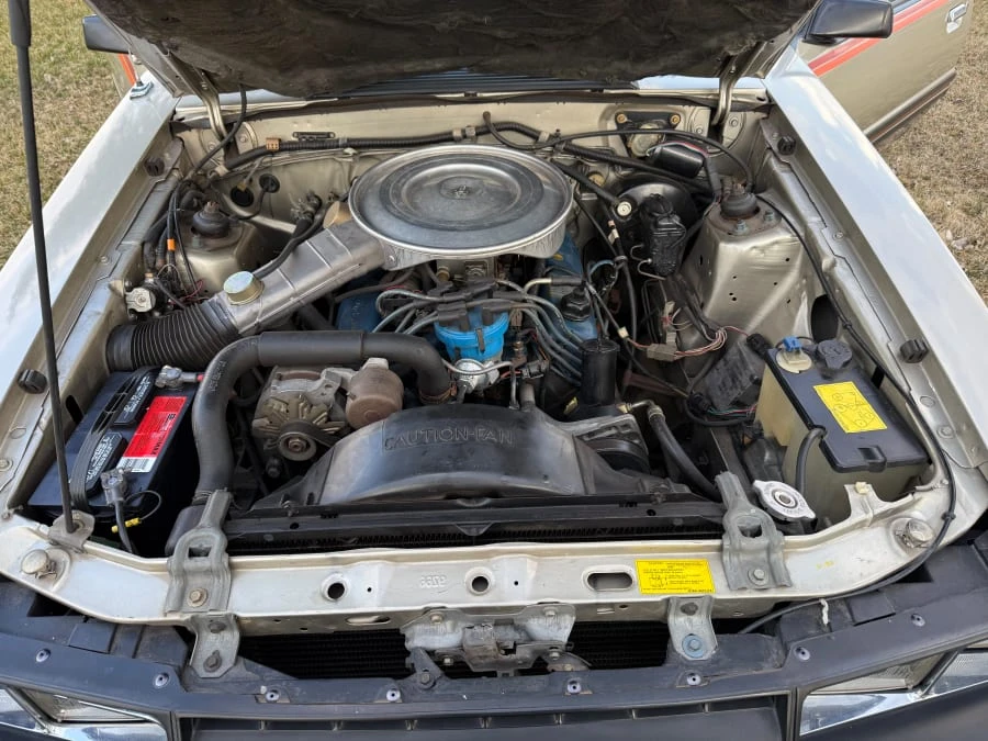 1979 Ford Mustang 3rd Gen - Image 14 of 19