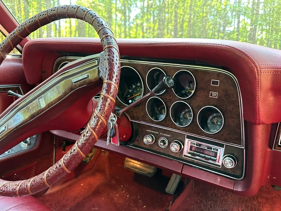 1979 Ford Ranchero 5th-7th Gen - Image 15 of 21