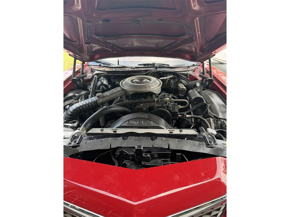 1979 Ford Ranchero 5th-7th Gen - Image 18 of 19