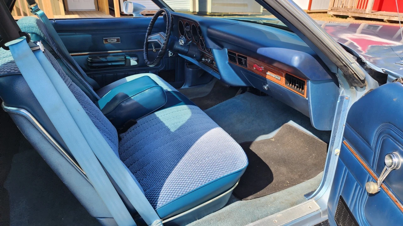 1979 Ford Ranchero 5th-7th Gen - Image 10 of 22