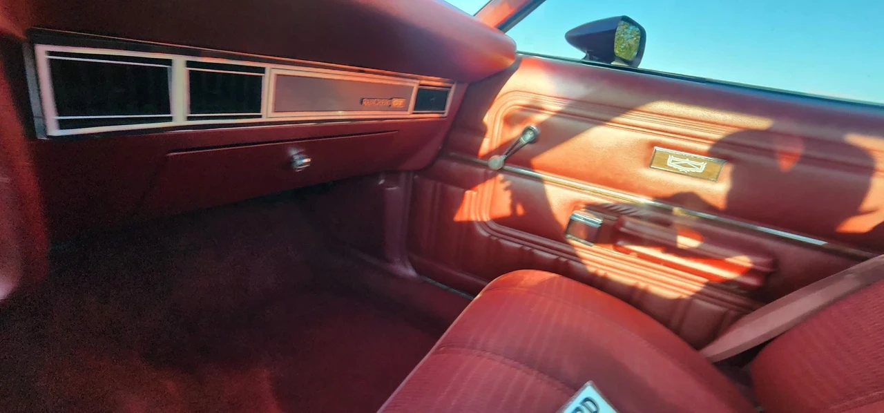 1979 Ford Ranchero 5th-7th Gen - Image 19 of 21