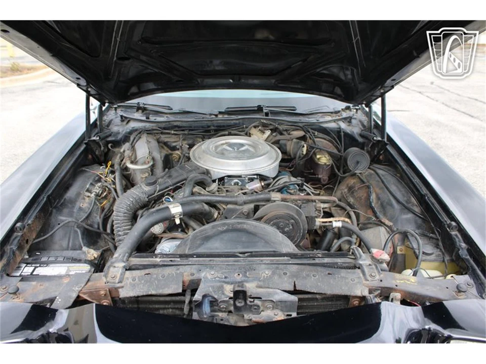 1979 Ford Ranchero 5th-7th Gen - Image 8 of 31