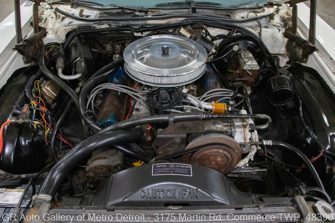 1979 Ford Ranchero 5th-7th Gen - Image 19 of 31