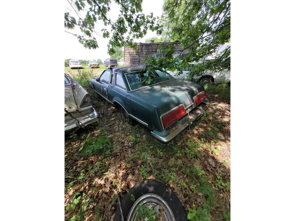 1979 Ford Thunderbird 7th Gen - Image 6 of 7