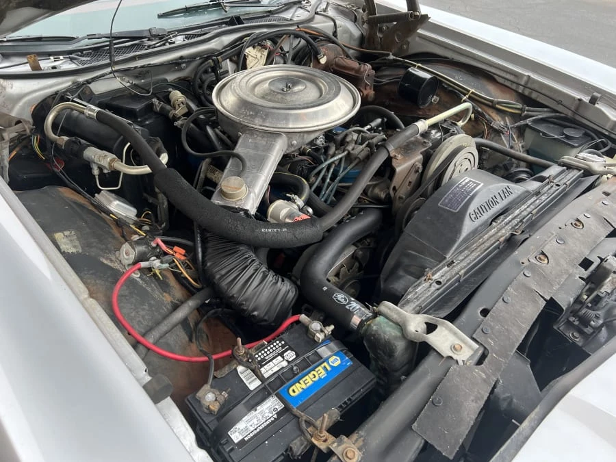 1979 Ford Thunderbird 7th Gen - Image 8 of 9