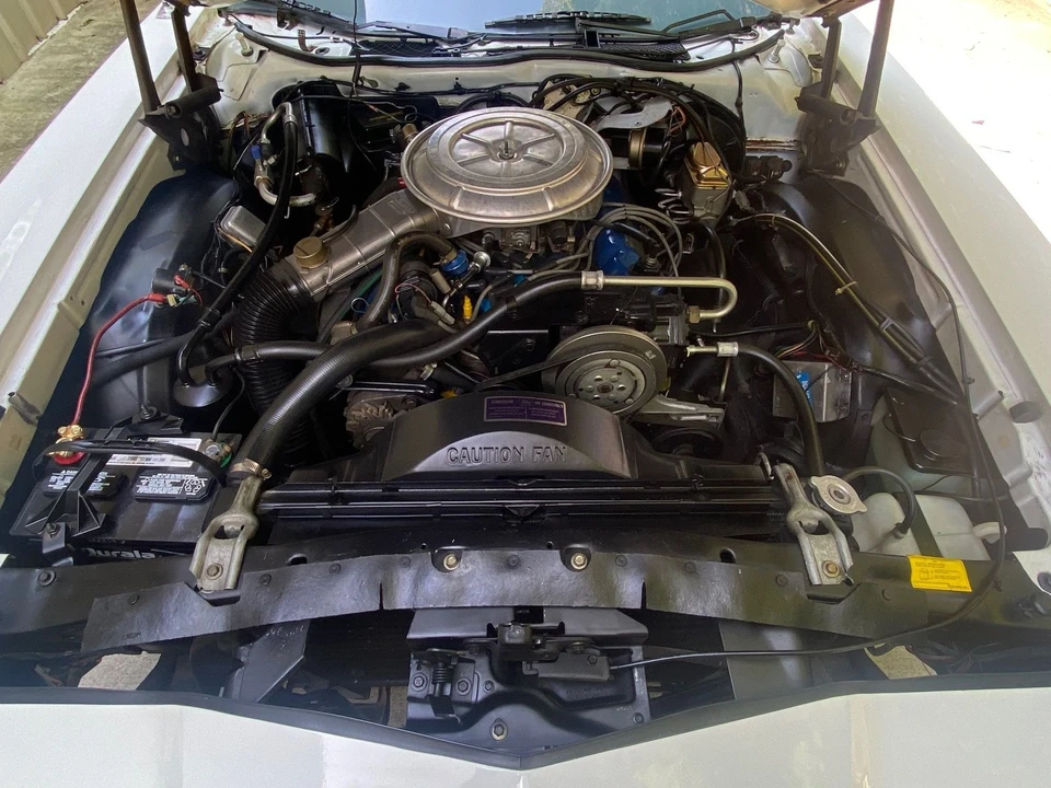 1979 Ford Thunderbird 6th Gen - Image 6 of 6