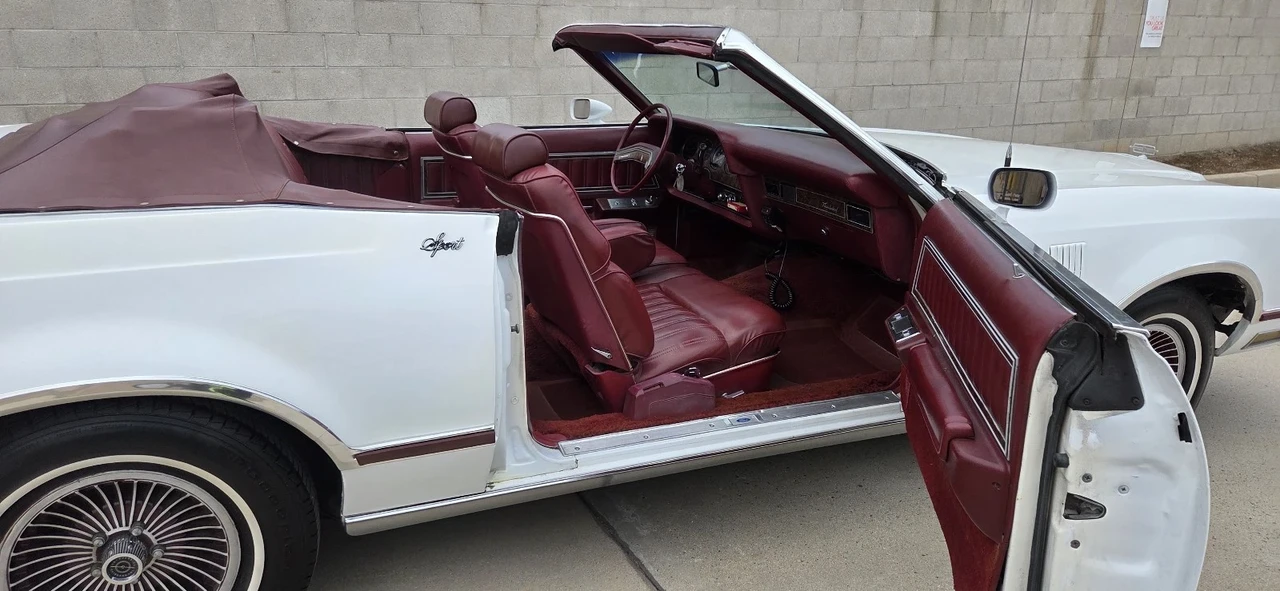 1979 Ford Thunderbird 6th Gen - Image 21 of 21