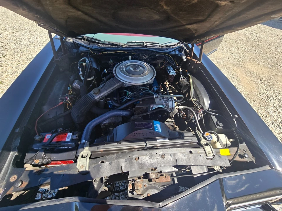 1979 Ford Thunderbird 7th Gen - Image 5 of 11