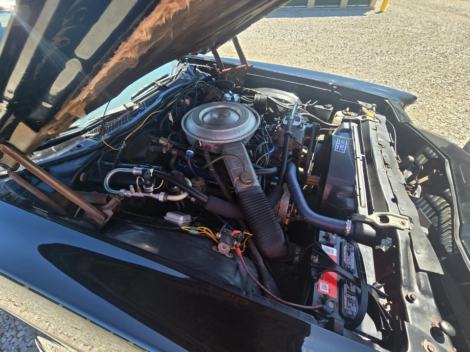 1979 Ford Thunderbird 7th Gen - Image 4 of 11