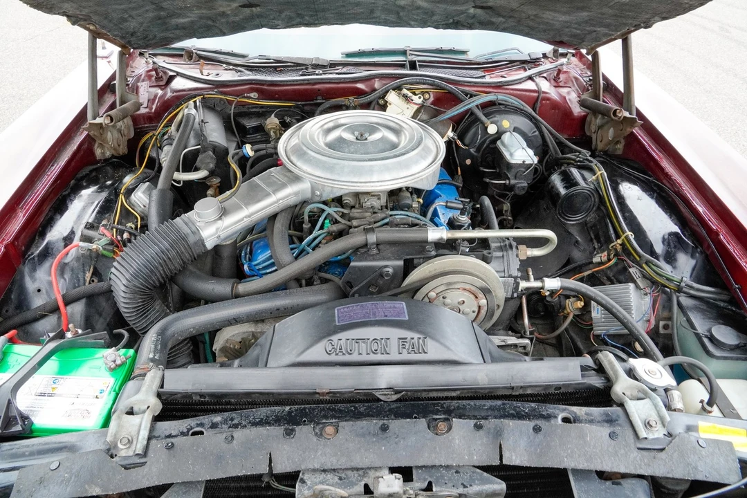 1979 Ford Thunderbird 7th Gen - Image 19 of 31