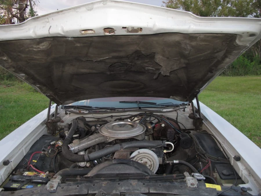 1979 Ford Thunderbird 7th Gen - Image 11 of 11