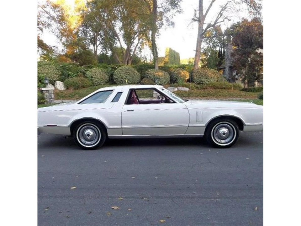 1979 Ford Thunderbird 7th Gen - Image 19 of 20