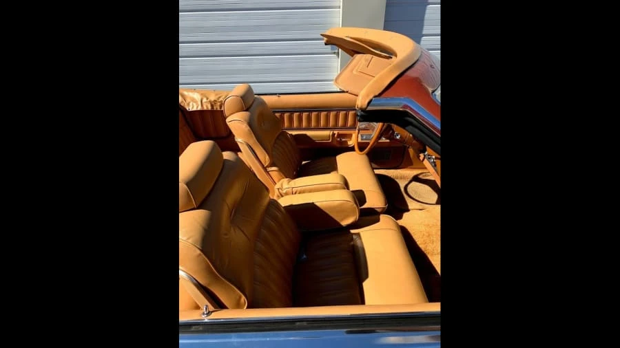 1979 Ford Thunderbird 7th Gen - Image 4 of 17