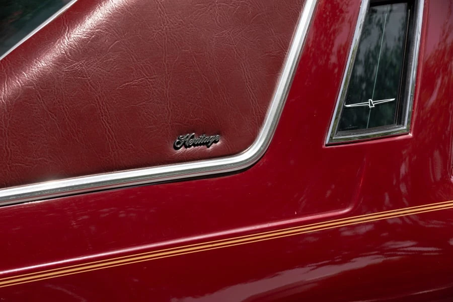 1979 Ford Thunderbird 7th Gen - Image 15 of 31