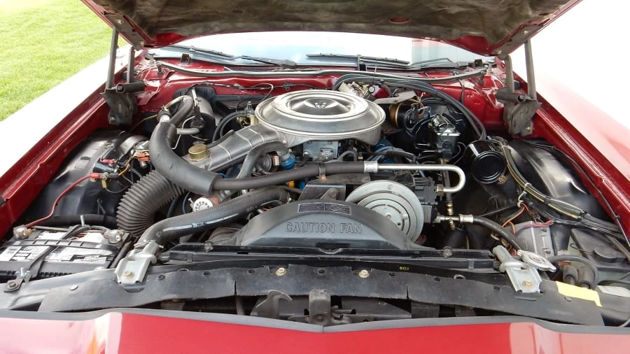 1979 Ford Thunderbird 7th Gen - Image 5 of 7