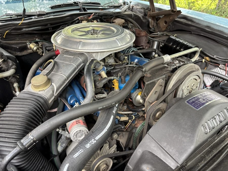 1979 Ford Thunderbird 7th Gen - Image 17 of 19