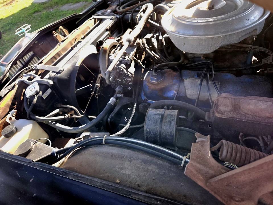 1979 Ford Thunderbird 7th Gen - Image 12 of 17
