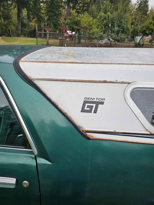 1979 Ford GT - Image 3 of 20