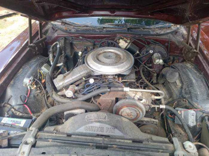 1979 Ford GT - Image 6 of 17